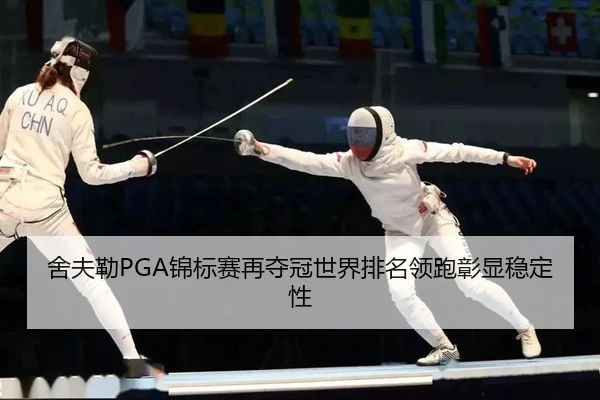 she-fu-lei-jin-biao-sai-zai-duo-guan-shi-jie-pai-ming-ling-pao-zhang-xian-wen-ding-xing-2-801.jpg